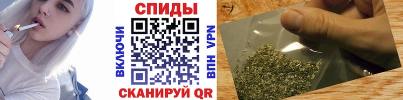 Купить закладки  Кызыл  Бутират бутандиол 