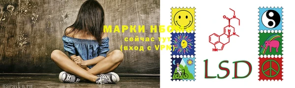 ГАЛЛЮЦИНОГЕННЫЕ ГРИБЫ Надым