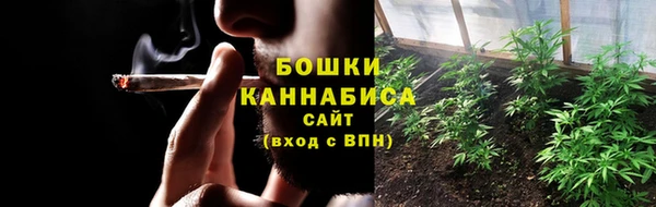ГАЛЛЮЦИНОГЕННЫЕ ГРИБЫ Надым