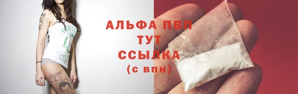 ГАЛЛЮЦИНОГЕННЫЕ ГРИБЫ Надым