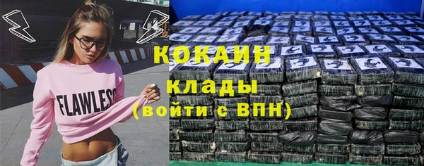 ГАЛЛЮЦИНОГЕННЫЕ ГРИБЫ Надым