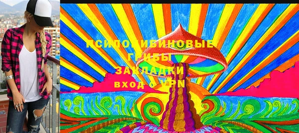ГАЛЛЮЦИНОГЕННЫЕ ГРИБЫ Надым