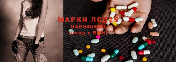 ГАЛЛЮЦИНОГЕННЫЕ ГРИБЫ Надым