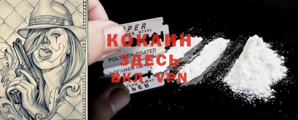 ГАЛЛЮЦИНОГЕННЫЕ ГРИБЫ Надым