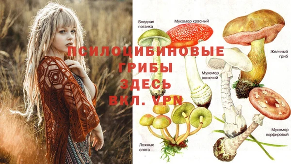 ГАЛЛЮЦИНОГЕННЫЕ ГРИБЫ Надым