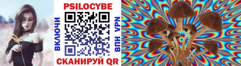 Купить закладки  Кызыл  Псилоцибиновые грибы мухоморы
